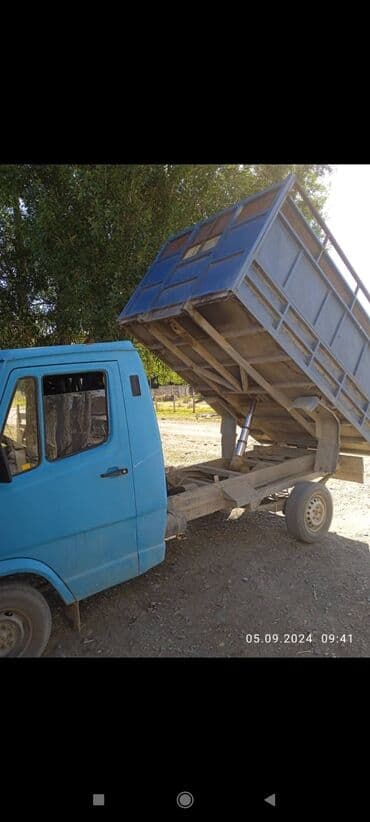 авто из беларуси в кыргызстан: Легкий грузовик, Mercedes-Benz, Стандарт — 2