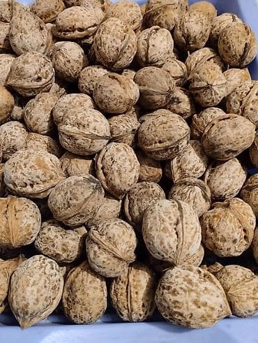 Продаю орехи at lalafo.kg Продаю орехи