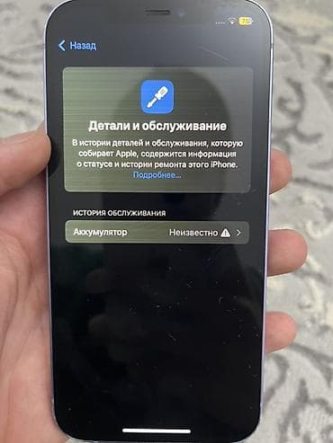 iphone 4: IPhone 12 — 3