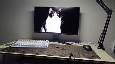 xbox microsoft: Монитор, Dell, Б/у, LCD, 23" - 24" — 2