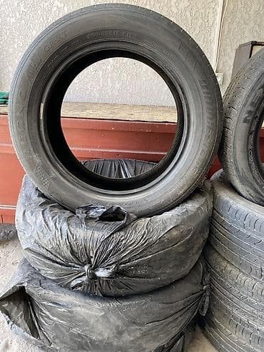 скоростя: Шины 205 / 55 / R 16, Лето, Легковые, Bridgestone — 1