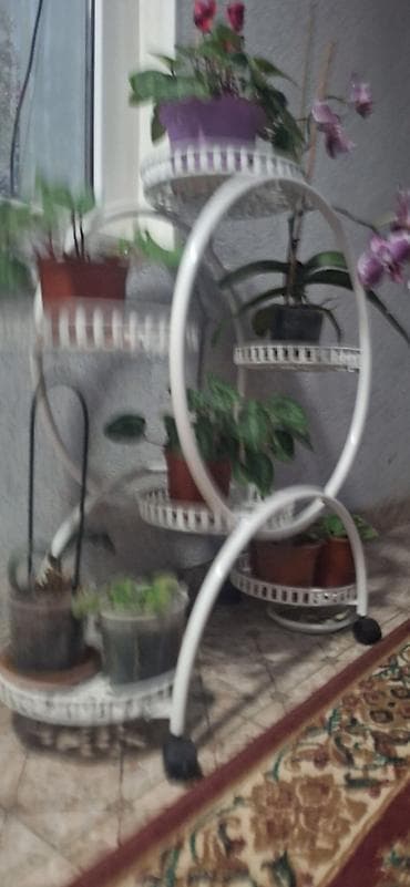 сушилка для посуд: Полка, этажерка для цветов, Железо — 2