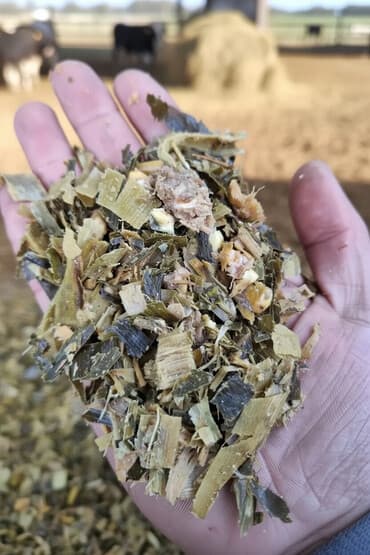 Продаётся силос с ямы готовый в любом количестве, доставка,погрузка