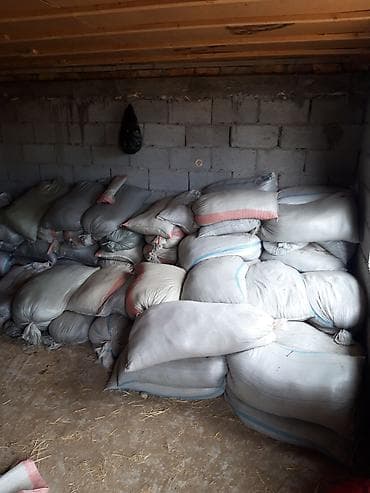 куплю тиски бу: Удобрение Гумус, Самовывоз — 3