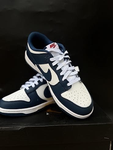 Кроссовки Nike Dunk Low (двухцветные: темно-синий/белый) -