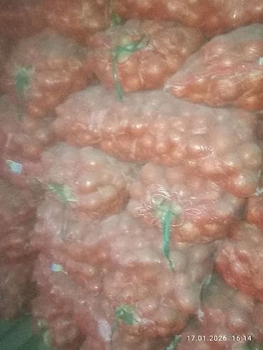 лопатка для торта: Лук Оптом — 3