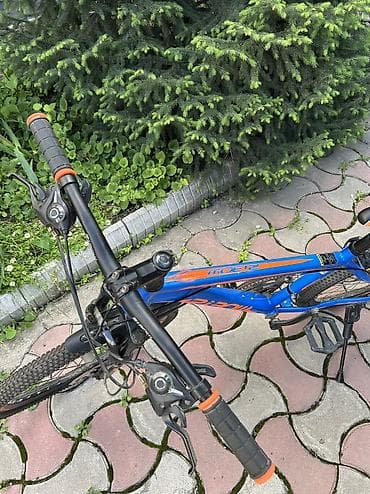 s 140: Скоростной Велосипед детский
10-13 лет — 4