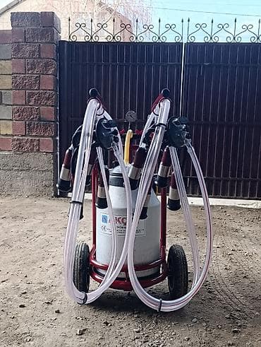 аппарат для доения коров: Передвижной доильный аппарат на тележке - Двойной пост: два доильных — 3