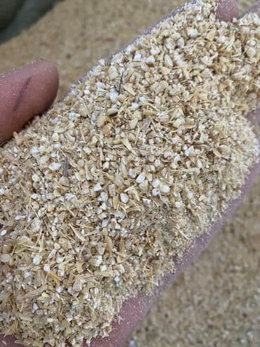 дом попугая: Продаю арпа жем ячмень дроблённый в мешках отруби кебек с погруской и — 2