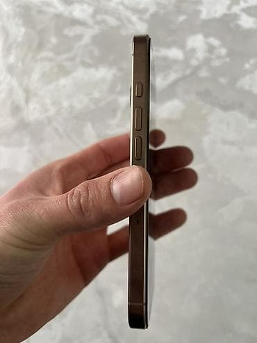 iphone 16 pro новый: IPhone 16 Pro, Новый, 256 ГБ, Золотой, Защитное стекло — 4