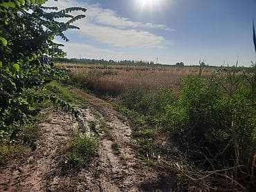 Недвижимость: 5 соток, Для сельского хозяйства — 4
