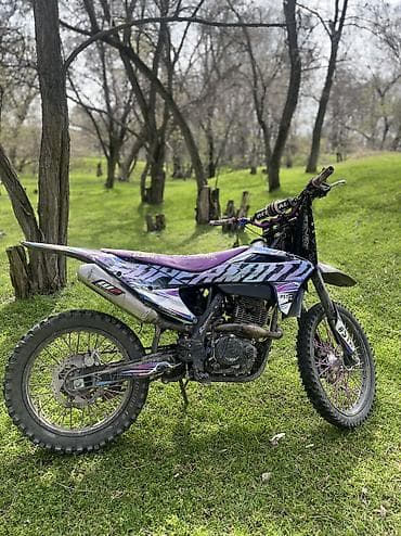 Эндуро 250 куб. см, Бензин, Взрослый, Б/у