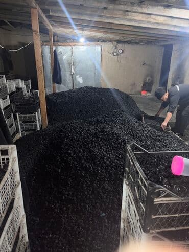 разнорабочий ош: Слива баасы 200 — 2