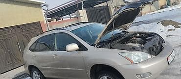 Lexus: Lexus RX: 2004 г., 3.3 л, Автомат, Газ — 9