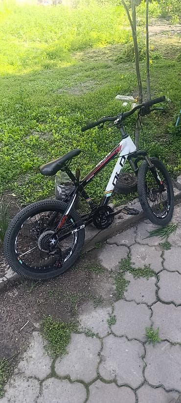 дордой мото: Тоо велосипеди, Велосипед алкагы XS (130 -155 см), Болот, Колдонулган — 1