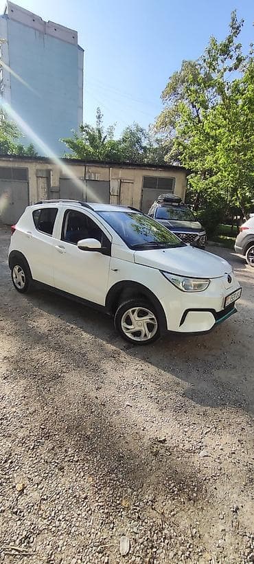 кузов в сборе: BYD E2: 2018 г., Электромобиль — 1