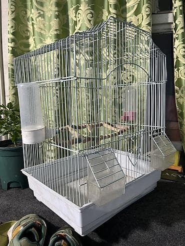 канарейки: Защитные сетки от птиц, Самовывоз, Бесплатная доставка, Платная доставка — 1