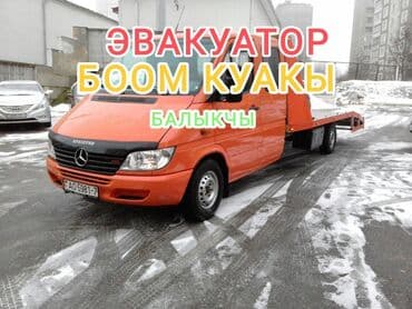 Көтөргүсү менен, Манипулятору менен, Кыймылдуу платформасы менен