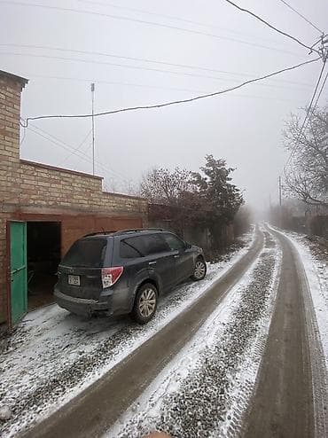 гараж джал: 9 соток, Красная книга — 6