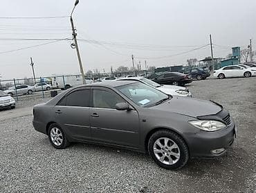 мухобойник: Toyota Camry: 2003 г., 2.4 л, Автомат, Газ, Седан — 1
