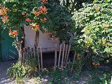 Продаю дом в г. Кара-Балта, ул. Красноармейская 65. 3 комнаты