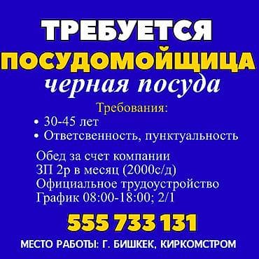 руководитель отдела: Требуется Посудомойщик, Оплата: Дважды в месяц — 1