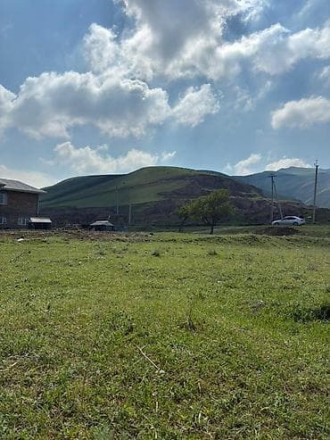 10 соток, Красная книга