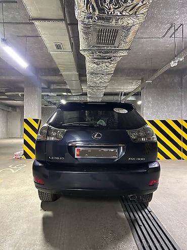 купить лх 570: Lexus RX: 2003 г., 3 л, Автомат, Бензин, Кроссовер — 3