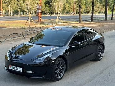 wuling mini ev: Tesla Model 3: 2023 г., 0.1 л, Автомат, Электромобиль, Седан — 3