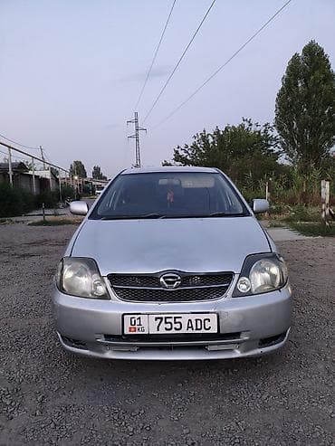 Toyota Corolla: 2003 г., 1.6 л, Автомат, Бензин, Универсал