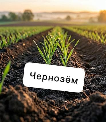 Чернозём — плодородная почвосмесь для сада, огорода и газона