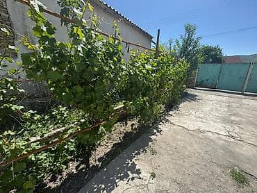 котедж ик: Продаю участок 13соток с домом! Адрес: Бек-Тоо(савхоз Ала-Тоо) ул — 6