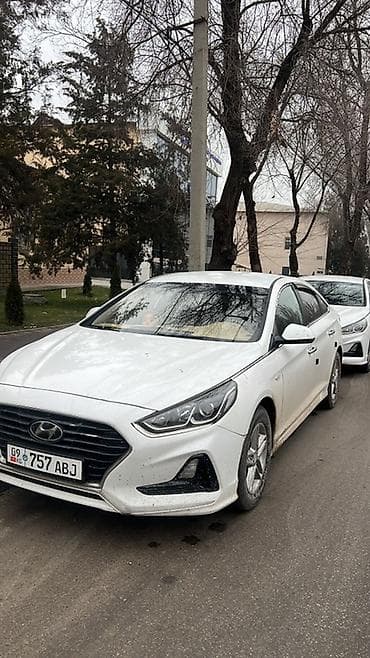 Hyundai Sonata: 2017 г., 2 л, Автомат, Газ, Седан