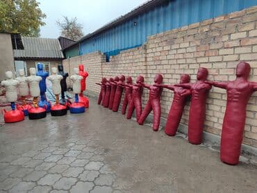 трехколесный велосипед для взрослых электрический: В продаже от производителя стоячие груши(напольные,Герман) очень — 15