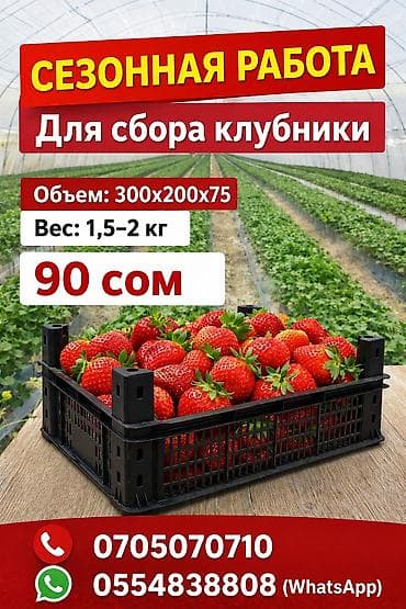 Пластиковый Ящик, Новый