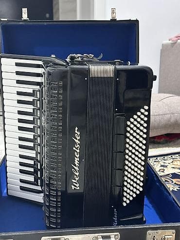 Вельтмейстер метеор