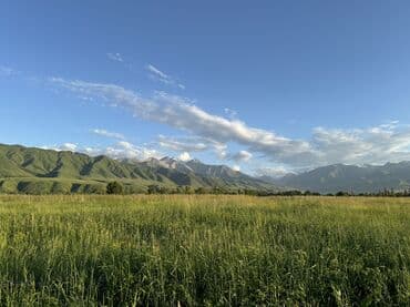 дома в новапокровке: 51 соток, Действующий, Без оборудования, Электричество, Канализация, Холодная вода — 1