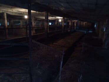 продаю дом шербакова: 77 соток, Электричество, Скважина, Холодная вода — 4