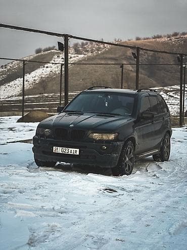 x5 2003: BMW X5: 2003 г., 3 л, Автомат, Дизель, Кроссовер — 3