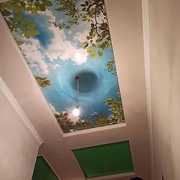 Керме шыптар 3D потолоктор, Жылтырак, Жылтырабаган Акысыз консультация, Акысыз ченөө, Кепилдиги