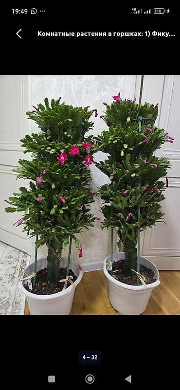 стол для цветов: Полка, этажерка для цветов, Новый, Железо, Самовывоз — 7