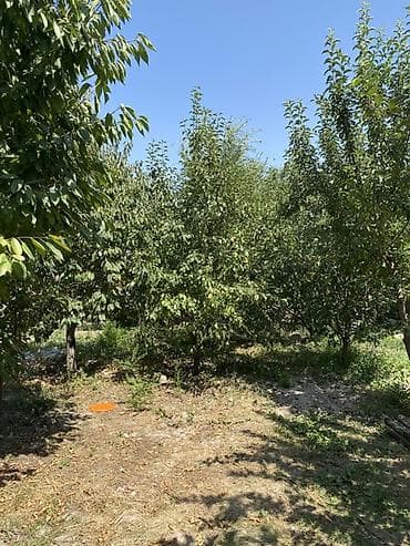 дом дёшево: 🏠 Продаётся дом 📍 Адрес: Арча-Бешик 📐 Количество комнат: 3 📌Площадь — 7