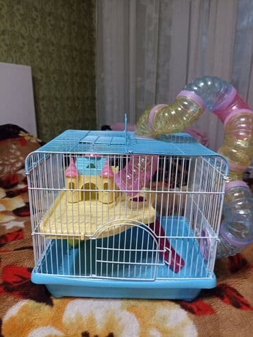 корм для кошек и котят: 1200 сом — 2