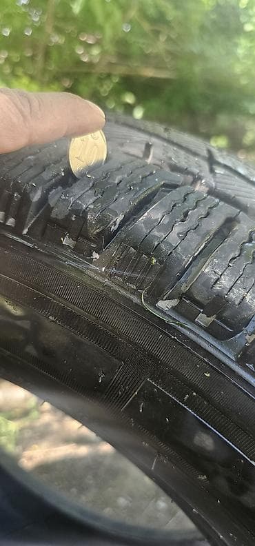 Транспорт: Шиналар 235 / 65 / R 16, Кыш, Жеңил коммерциялык транспорт (C/LT), Michelin — 4