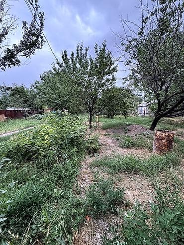 санузла: В центре Сокулука продается дом. 🏠 Участок 14 соток 📐3 комнат 75 кв.м — 4