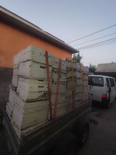 дом для кроликов: Пчелиные ульи из дерева, около 45 комплектов предназначенные для — 7