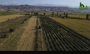 сельхоз участок: 150 соток, Для бизнеса, Договор купли-продажи — 2