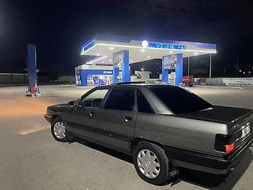 Audi: Audi 100: 1988 г., 2.3 л, Кол менен иштөөчү, Газ, Седан — 6