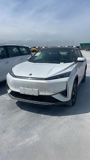 model y: Dongfeng : 2026 г., Электромобиль, Кроссовер — 1