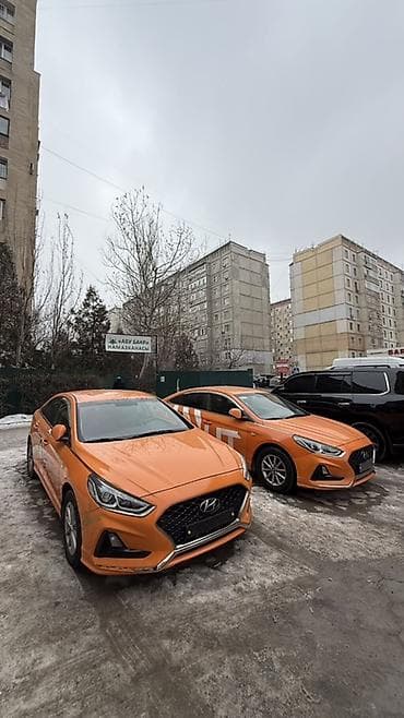sonata: Hyundai Sonata: 2019 г., 0.2 л, Автомат, Газ, Седан — 1